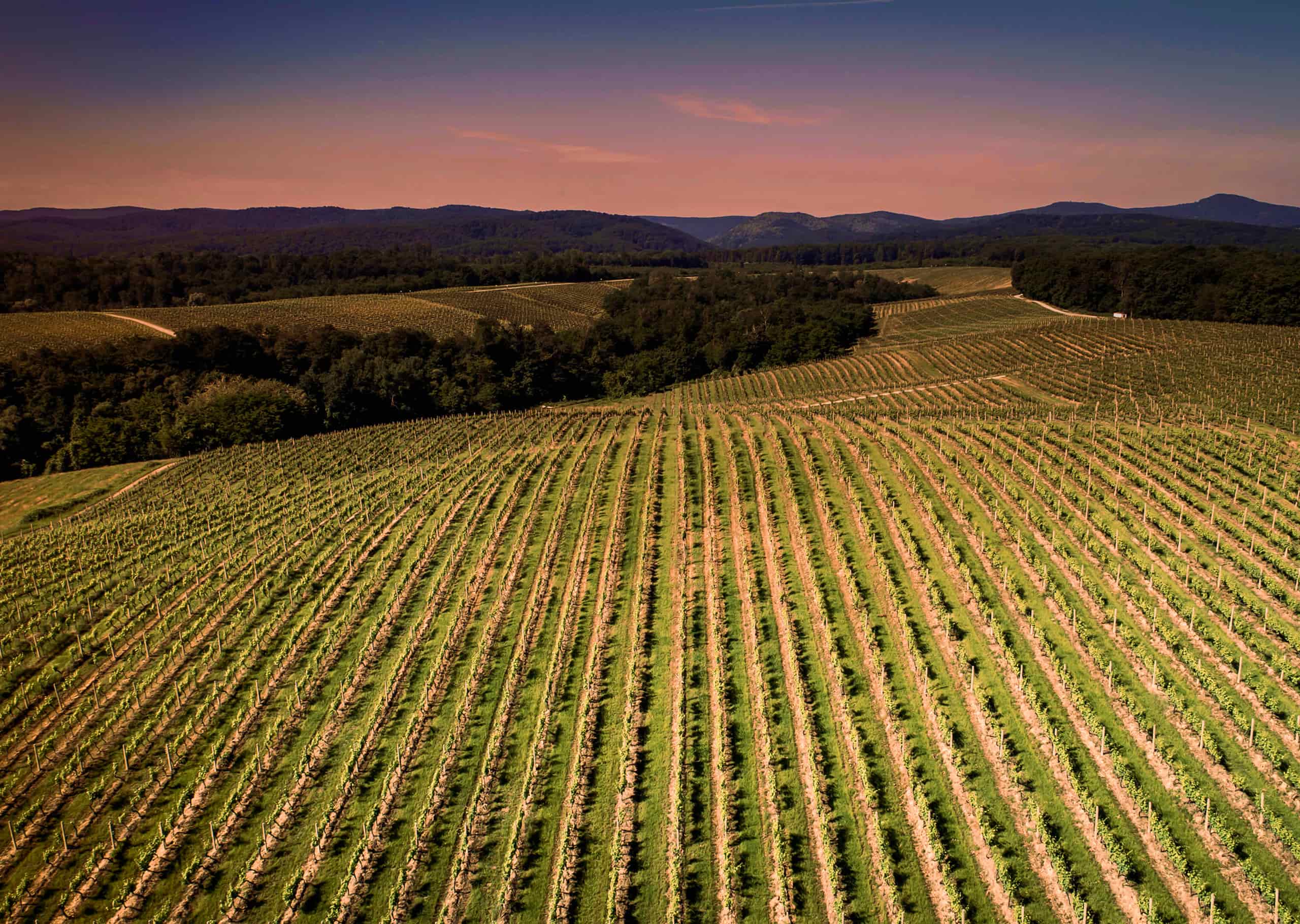 Destinacija Feričanci